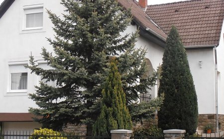 Ulrich Apartman Tihany