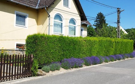 Török Apartman Tihany