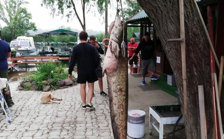 Ifjúság 68 Apartman Tiszafüred