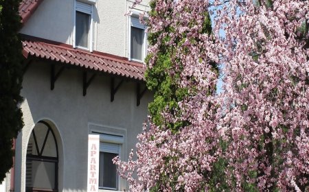 Tiszavirág Apartman Tiszafüred