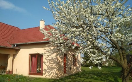 Rózsás Apartman Tiszafüred