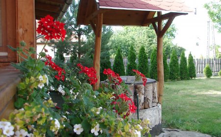 Nyárfaliget Vendégház Tiszakeszi