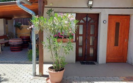 Tiszavirág Vendégház Tiszakürt