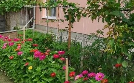 Nagymama Házikója Vendégház Tiszasas