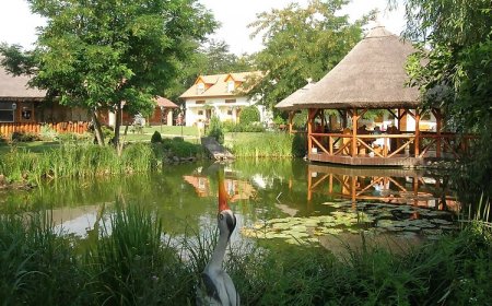 Szőlőszem Farm Tiszaszőlős