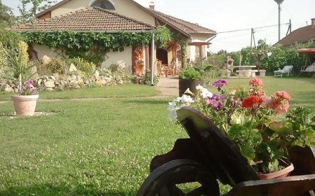 Szőlőlugas Apartman Tiszaszőlős