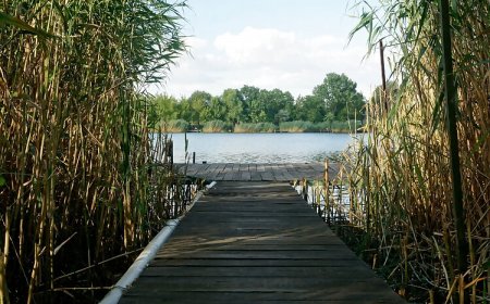 Kis Tisza Horgász Vendégház Tiszaug