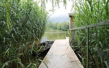 Tiszaug Apartman Tiszaug