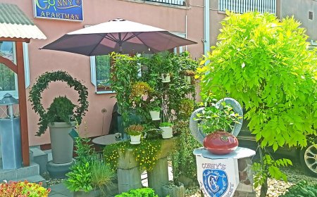 Connys Apartman Tiszavasvári