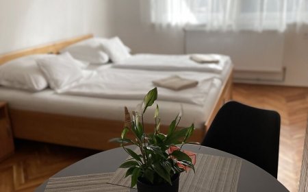 Bogoly Apartman Tokaj