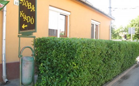 Éva Vendégszoba Tokaj