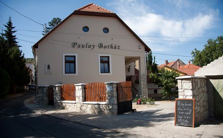 Paulay Borház és Vendégház Tokaj