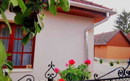 Szilvaliget Vendégház Tolcsva