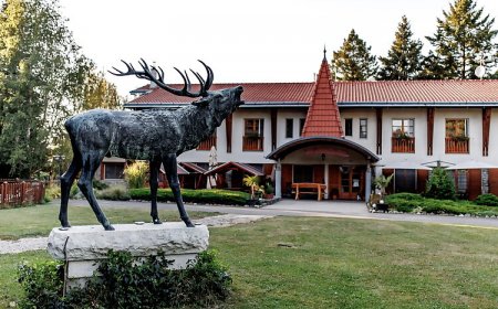 Nagymáté Vadászház és Étterem Tormás