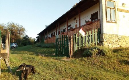 Levendulás Ház Tornabarakony