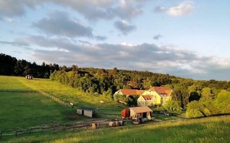 Cseri Kastély Szálloda és Étterem Tótvázsony