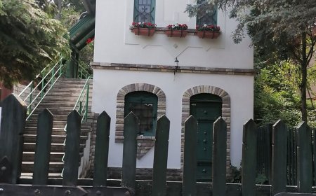 Bense Villa Lakitelek Tőserdő