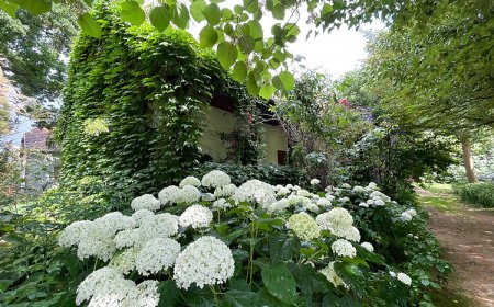 Erdőszéli Vendégház Túristvándi