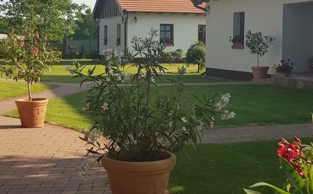 Tóth Vendégház és Apartmanház Újfehértó