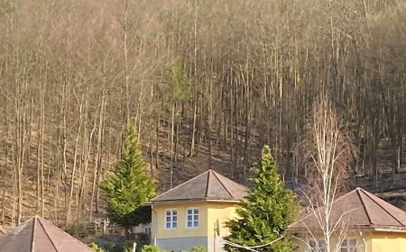 Erdőszéli Vendégház Újhuta