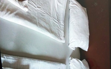 Gesztenye Apartman Úrkút