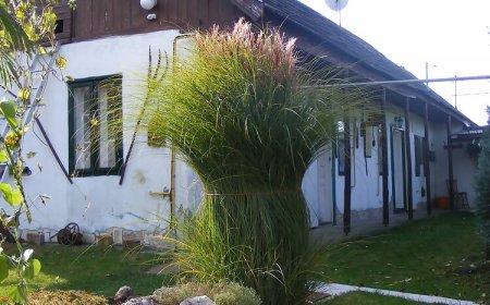 Jobb mint otthon Falusi Szállás Vámosmikola