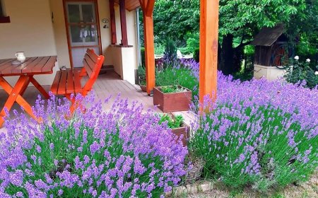 Boglárka Vendégház Nagymákfa Vasvár