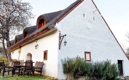 Péter Pince Nyaralóház Vászoly