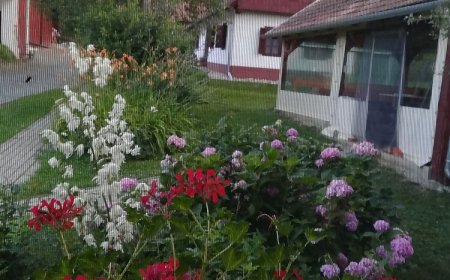 Kisaranyos Vendégház Velemér