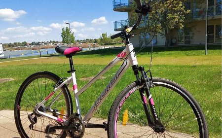 Bike & Spa Apartman Velence
