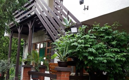 Agave Apartman Velence