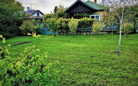 Süllőfészek Horgásztanya és Vendégház Velence