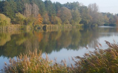 Jómadarak Üdülőház Veresegyház
