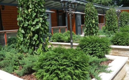 Csobogó Vendégház Verőce