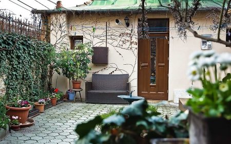 Vadszőlő Apartman Veszprém
