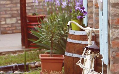 Bíborlak 7 Apartman Villány