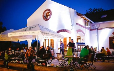 Diófa Panzió & Bisztró Villány