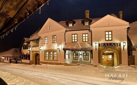 Halasi Pince Panzió Étterem Villány