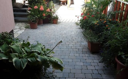 Harasztovits Vendégház Villány