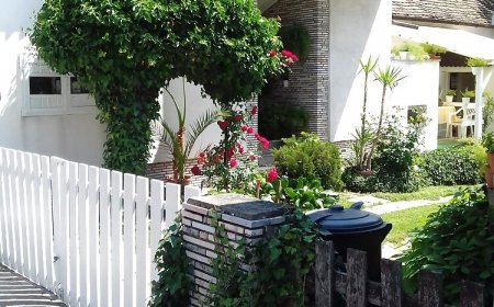 Dani Pince és Vendégház Villány