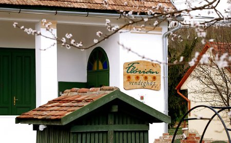 Flórián Vendégház ****Villánykövesd