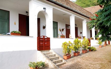 Szabó-Bali Vendégház Villánykövesd