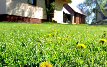 Őrségi Lak-Tanya Viszák