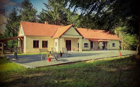 Őrségi Katicás Vendégház Viszák