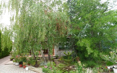 Mara Apartman Vonyarcvashegy