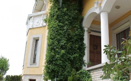 Vadszőlő Vendégház Vonyarcvashegy