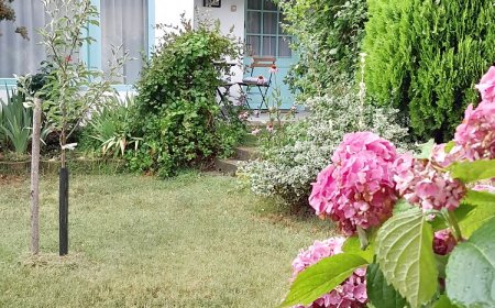 Kétpatkós Vendégház Vonyarcvashegy