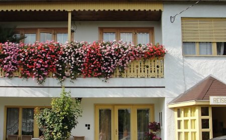 Gerania Ház Vonyarcvashegy