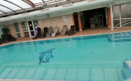 Delfin Apartman Zalakaros