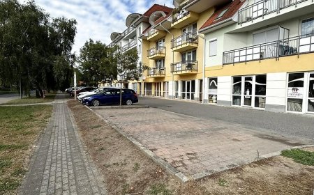 Dani Wellness Apartman Zalakaros